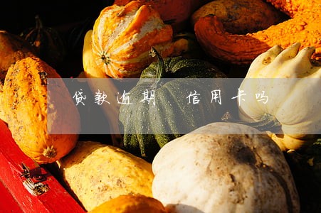 贷款逾期 信用卡吗